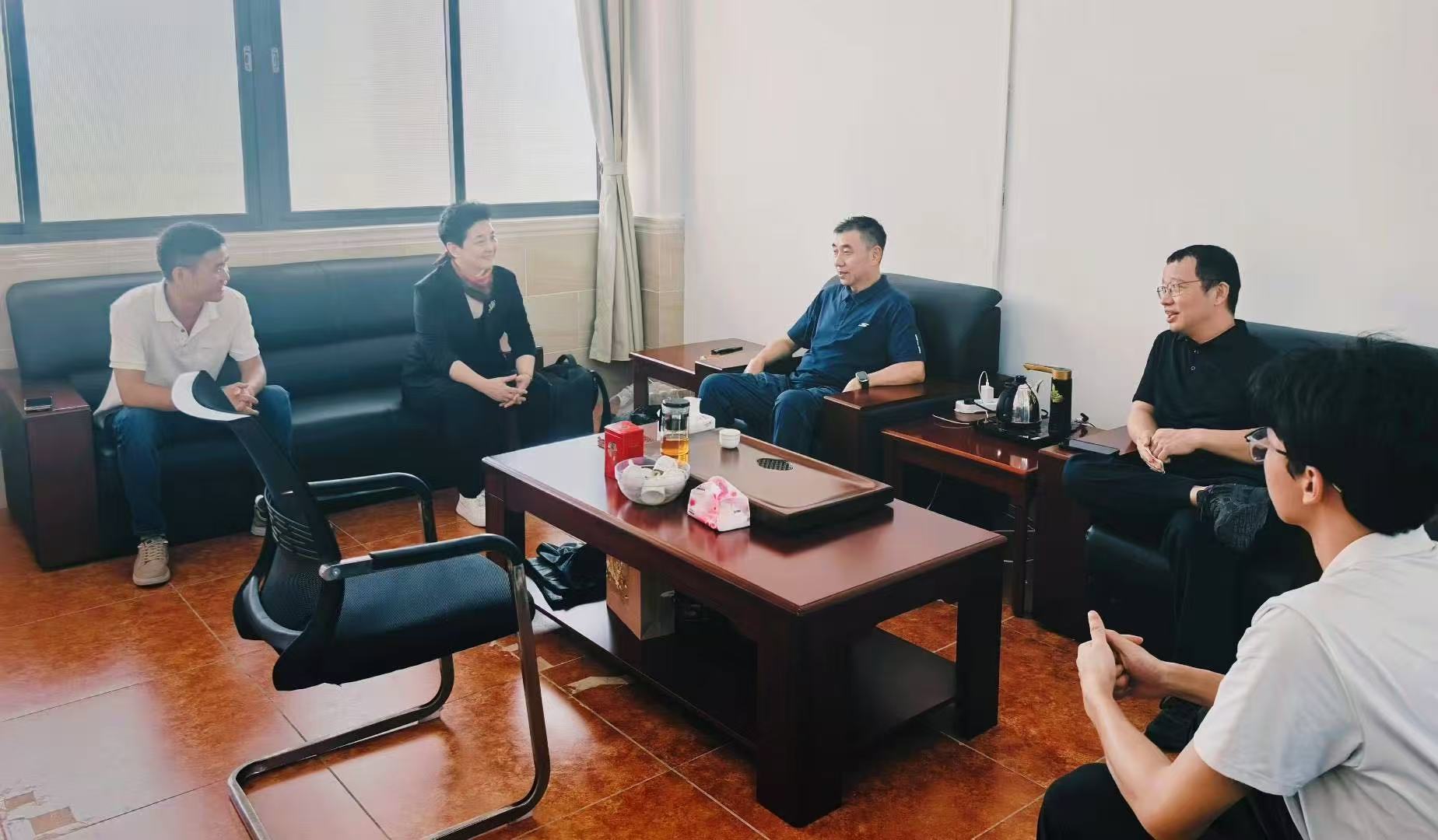 球速体育
